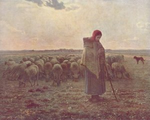 Meisje hoedt de schapen